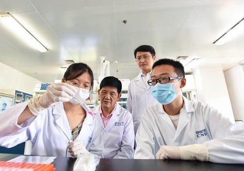 國家隊 再現(xiàn)中國效率,漢產(chǎn)疫苗全球領(lǐng)跑