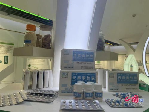 用行動(dòng)守護(hù)生物多樣性的生命之舟——昆明植物所生物技術(shù)開發(fā)探索