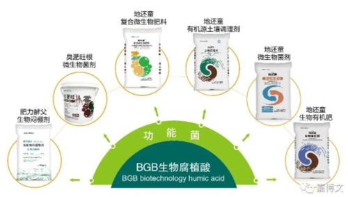 史丹利農(nóng)業(yè)集團(tuán)副總裁張廣忠一行到訪嘉博文上海分公司，考察生物制品研發(fā)成果
