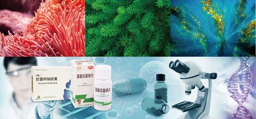 華大海洋 以企業(yè)擔(dān)當(dāng)引領(lǐng)海洋生物醫(yī)藥與生物技術(shù)研發(fā)新浪潮